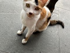 -东天目山风景区