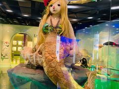 -成都泰迪熊博物馆
