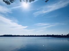 -丁香湖公园