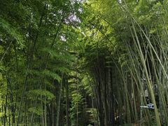 -丰宁坝上草原