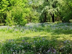 -国家植物园南园