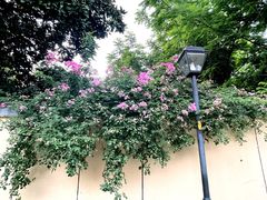 -颐和路民国时期公馆风貌区