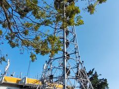 -风云岭森林公园