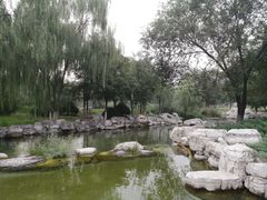 -太阳宫公园