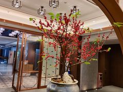 -广州酒家(中华广场店)