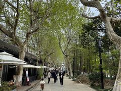 -运河游船(武林门码头)