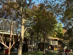 -宁波儿童公园(鄞州区)