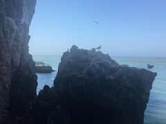 -海驴岛(荣成市)