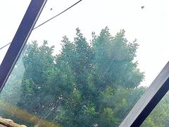 -VOYAGE COFFEE(北锣鼓巷店)