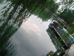 -黄村公园