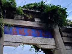 -泰山风景名胜区