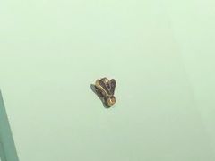-浙江西湖美术馆