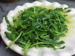 清炒芝麻菜微苦-海韵人家.海景花园经典云南菜(双廊店)