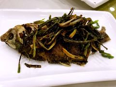 -老人和饭店(淮海中路店)