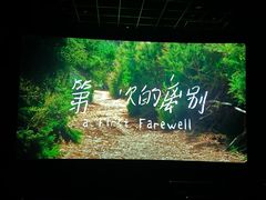-SFC上影影城(唐镇店)