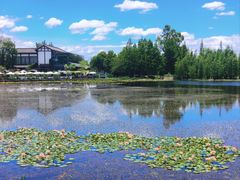-白鹭湾湿地公园
