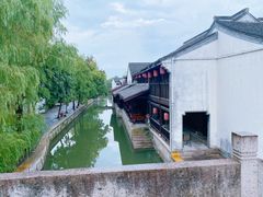 -鲁镇