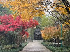 -杭州植物园