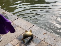 -酷鱼垂钓CLUB(朝阳区博大路店 )