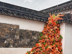 -回回锅贴(小河沿店)