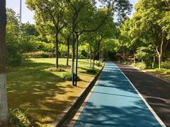 -上海吴淞炮台湾国家湿地公园
