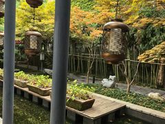 -湖滨客舍·湖北菜