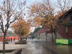 -大雁塔北广场音乐喷泉