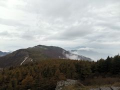 -白草畔自然风景区