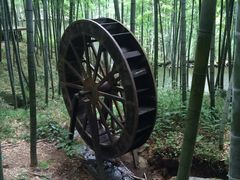 -江南天池