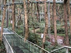 -富春桃源风景区