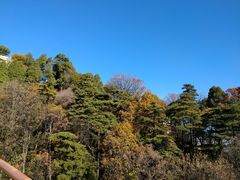 -少华山国家森林公园