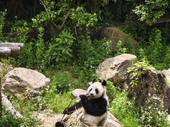 -宁波野生动物园
