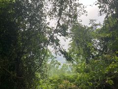 -火炉山森林公园