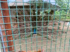 -前小桔亲子创意农场·草莓采摘·露营烧烤