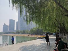 -天鹅湖体育公园
