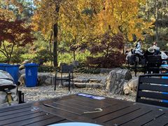 鸭血粉丝汤-小淮娘鸭血粉丝&锅贴(天平山景区店)