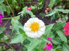 -沈阳森林动物园