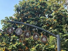 -中国科学院西双版纳热带植物园