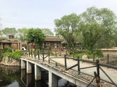 -尚庄度假村·庭台树下·户外烧烤·团建CS·轰趴营地(上庄水库店)