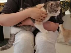 -平行世界·猫咖(首经贸店)