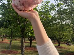 -自然谷恐龙园