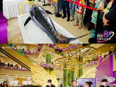 -七彩云南第壹城