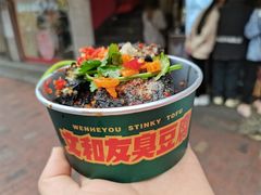 -董顺桃老长沙臭豆腐(步行街店)