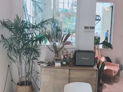 -CHEZ JASMINE 茉莉的氧气厨房