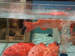 -阿伟海鲜楼·福建菜(延寿店)