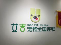 -艾吉宠物医院·疑难杂症转诊中心·猫友好(碧江路院)