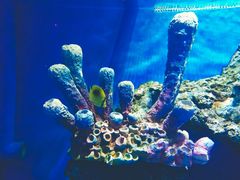 -华夏文旅西安度假区