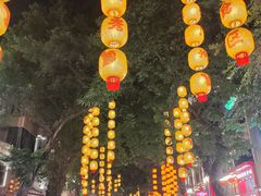 -越秀西湖花市(广州城市广场花卉店)