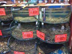 水产区-东来菜馆•手抓海鲜家常菜•海鲜锅贴(鸽子窝店)