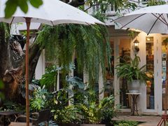 -Fern Forest Cafe